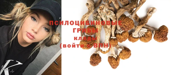герыч Нея