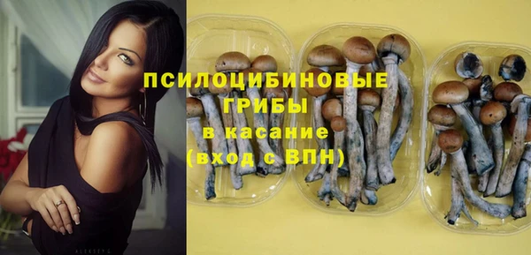 кокс Алексеевка