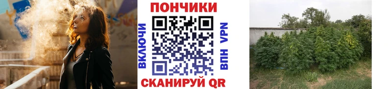 сайты даркнета официальный сайт ссылка на мегу онион Староминская купить наркоту Шишки марихуана конопля